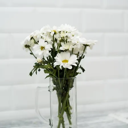 Lägenhet Deluxe In Old Center *