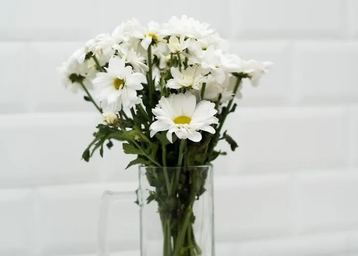 Apartament Deluxe In Old Center *